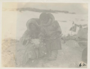 Image: Eskimos [Inuit] picking ducks